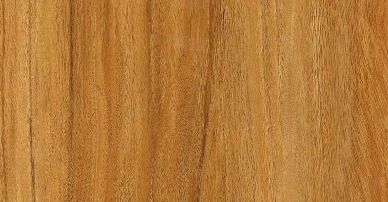 LIGHT BROWN ライトブラウン